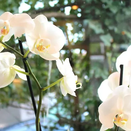 Hotel Eden Am Kurpark