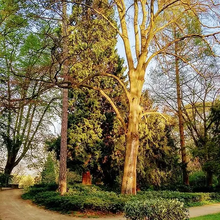 Hotel Eden Am Kurpark 3*