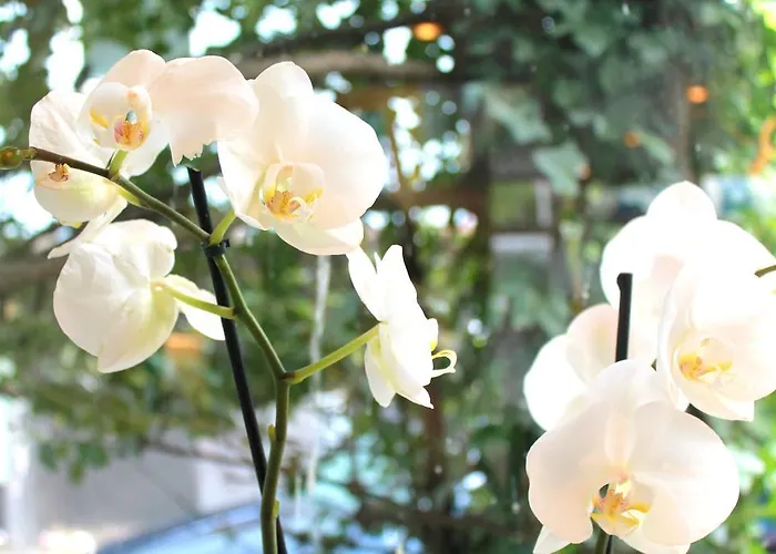 Hotel Eden Am Kurpark