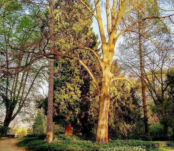 Hotel Eden Am Kurpark 3*